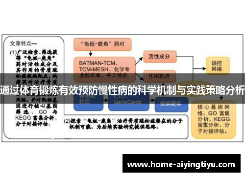 通过体育锻炼有效预防慢性病的科学机制与实践策略分析